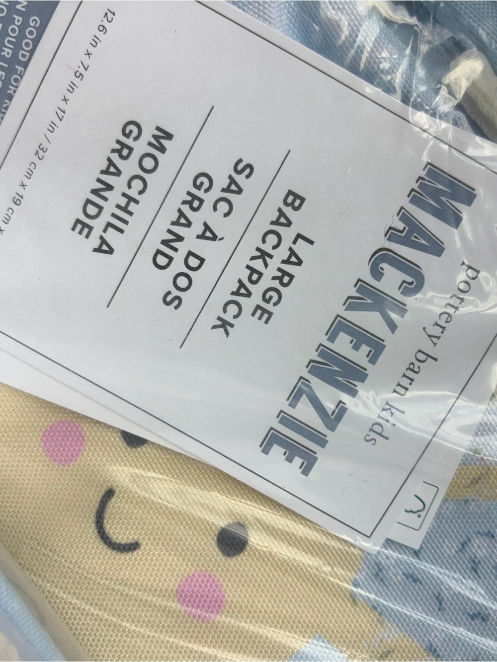 Pottery Barn Kids Light Blue Sunny Rainbow Backpack